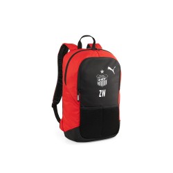 teamGOAL Backpack PUMA...